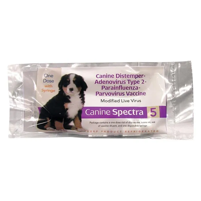 Canine Spectra5 With Syringe Vac