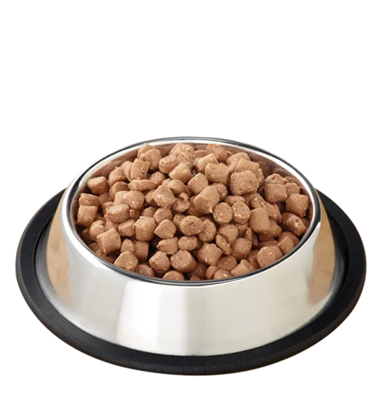 Pronto Raw Turkey Frozen Cat Food 1-lb