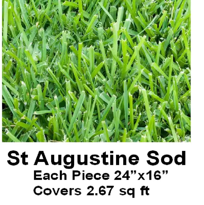 SOD -ST.AUG LOUISIANA PIECES 16X24IN 2.5SQFT
