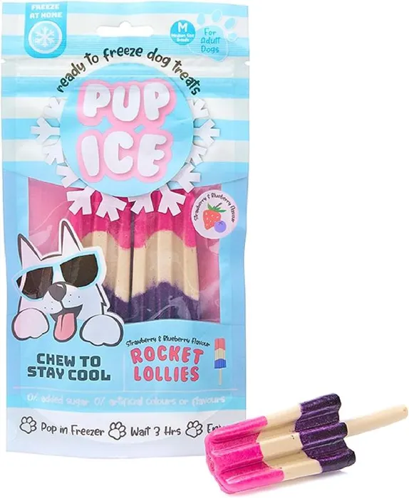 Pup Ice Rocket Lollies Strawberry Blueberry 2pk