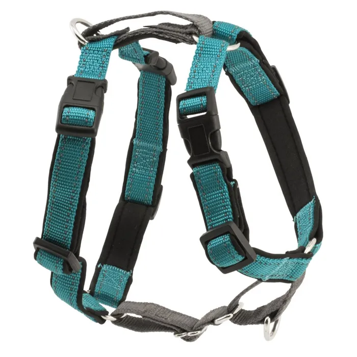 3 In 1 Harness Small Teal Small