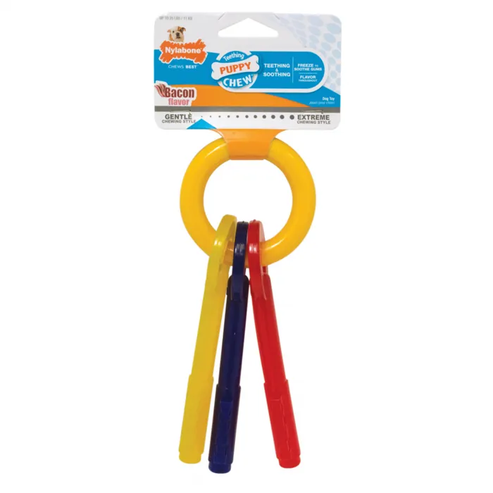 Nylabone Puppy Chew Teething Key Large