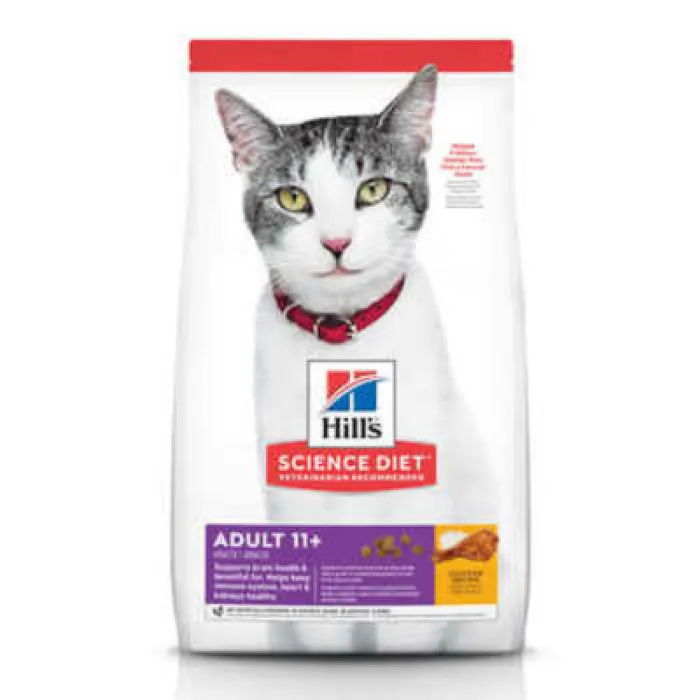Sd, Age Defying Feline 15.5lb