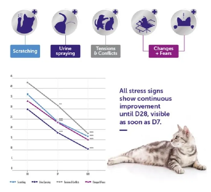 Ceva Optimum Cat Kit 48ml