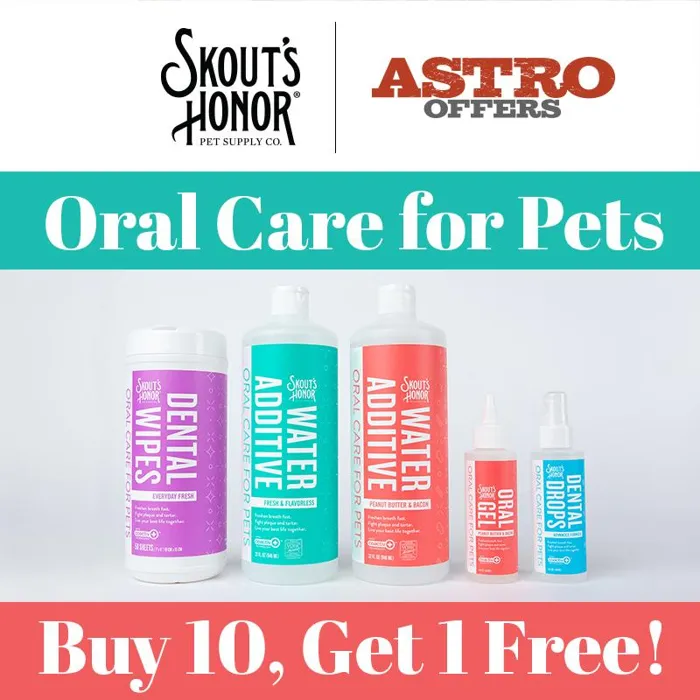 Promotion Image