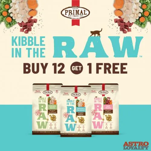Promotion Image