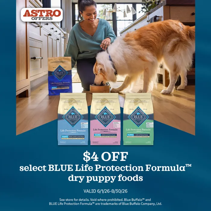 Promotion Image