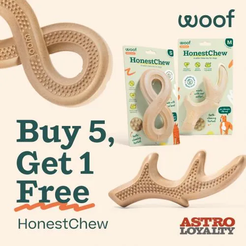 Promotion Image