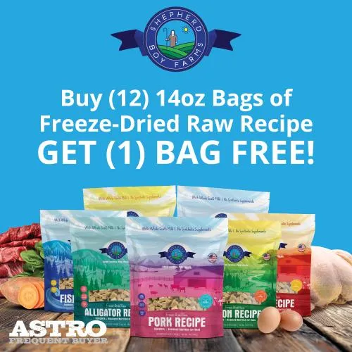 Promotion Image