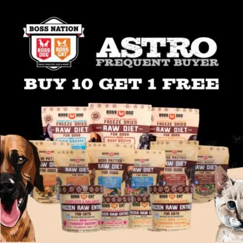 Promotion Image