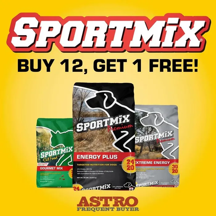 Promotion Image