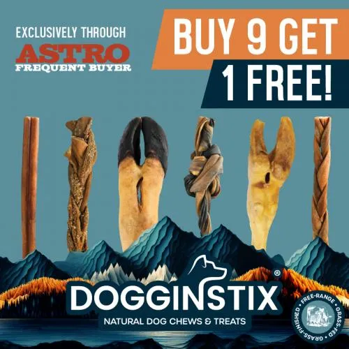 Promotion Image