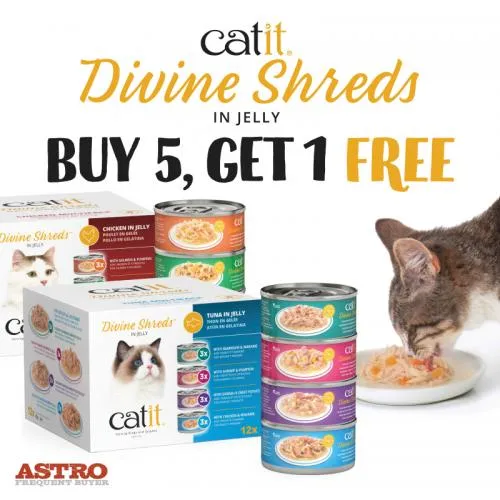 Promotion Image
