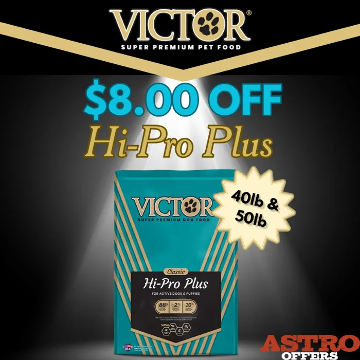 Promotion Image
