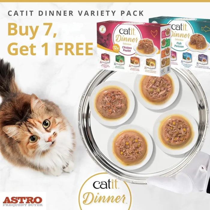 Promotion Image