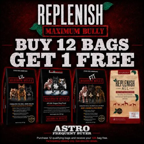 Promotion Image
