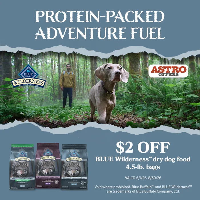 Promotion Image