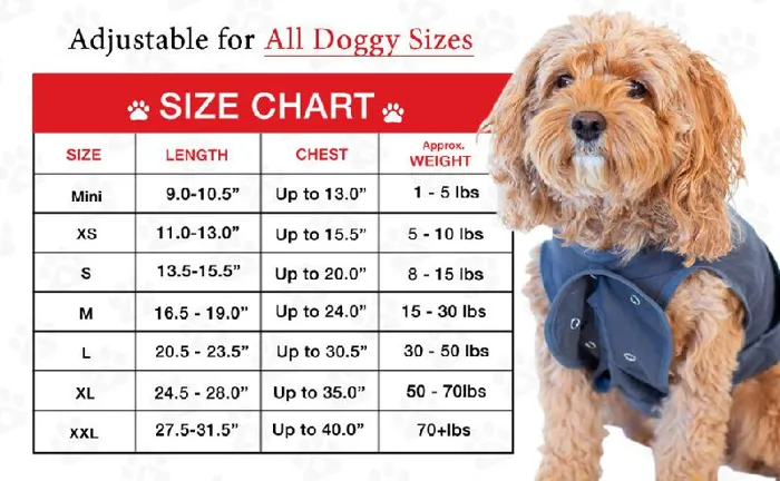 BellyGuard Dog Surgical Onesie MED Grey