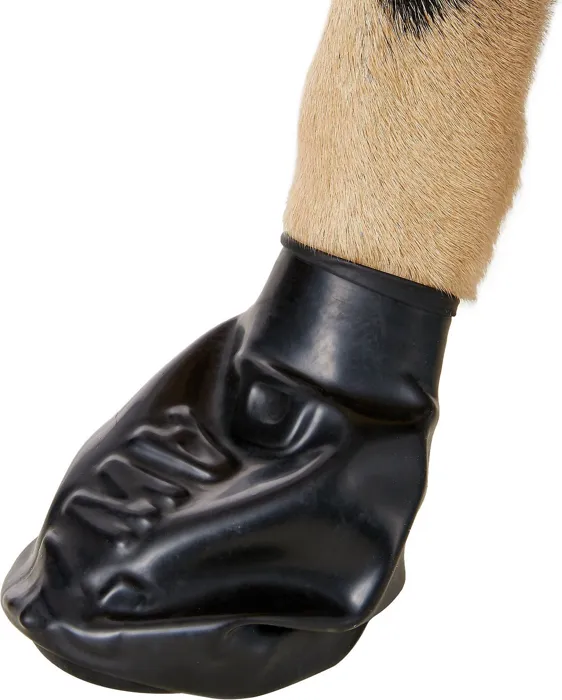 Pawz Protective Dog Boots Medium