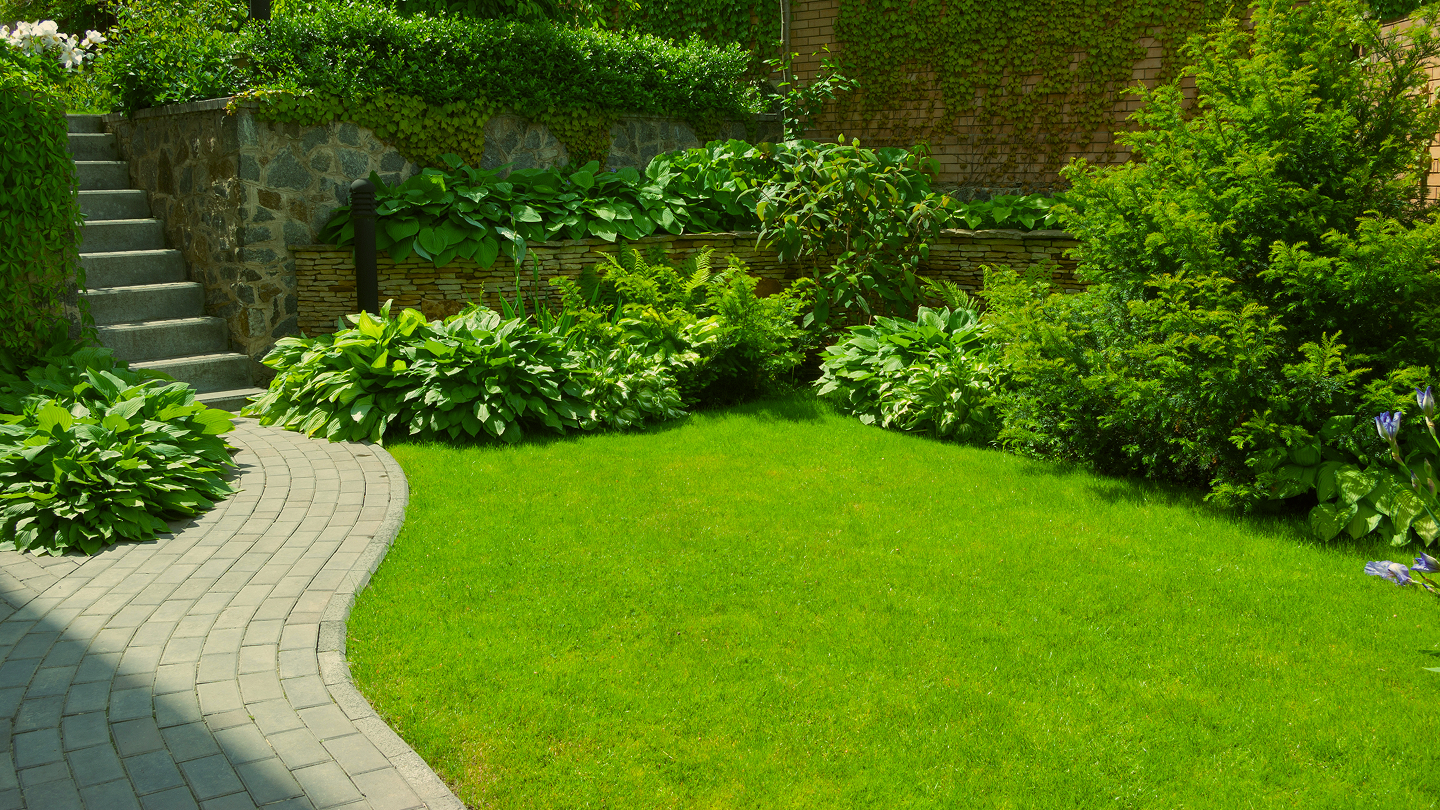 Home Landscaped garden with green lawn, plants, and a stone pathway.