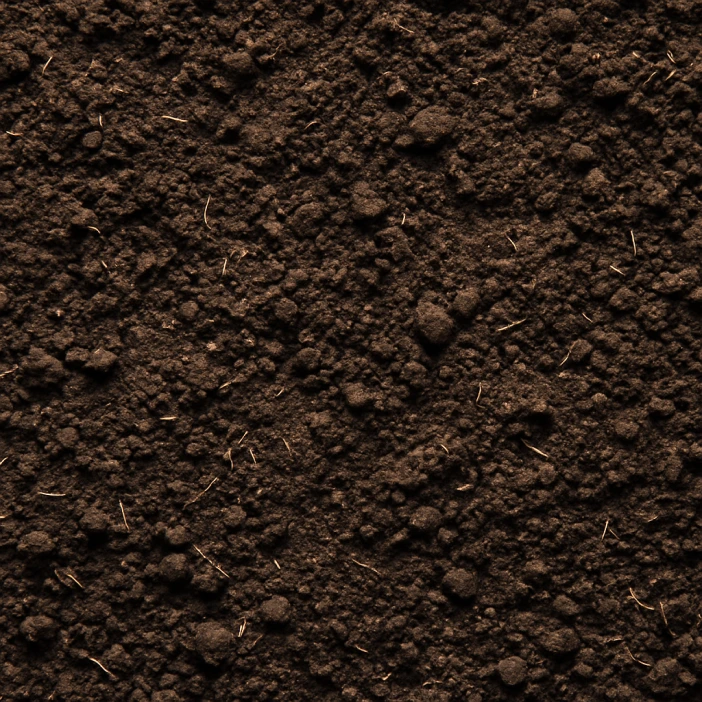soil