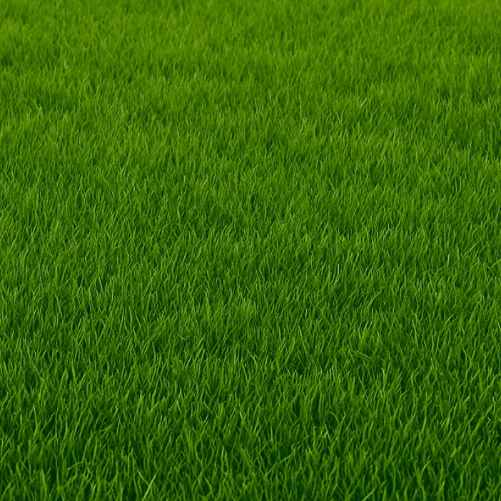sod
